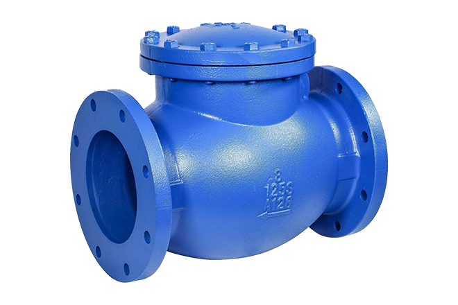 Check Valve