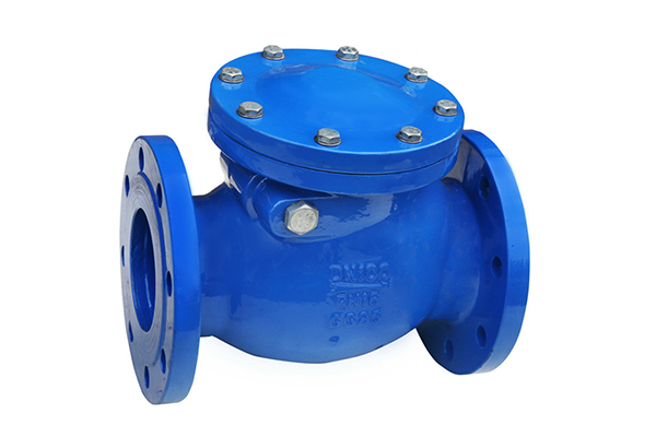 Check Valve