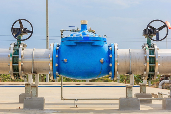 Check Valve