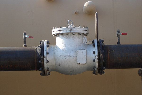 Check Valve