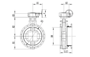 Drawing of DQ342H-2.5-6-10-16 Flanged Telescopic Rotary Butterfly Valve Dimensions