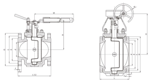 Drawing of Eccentric Plug Valve
