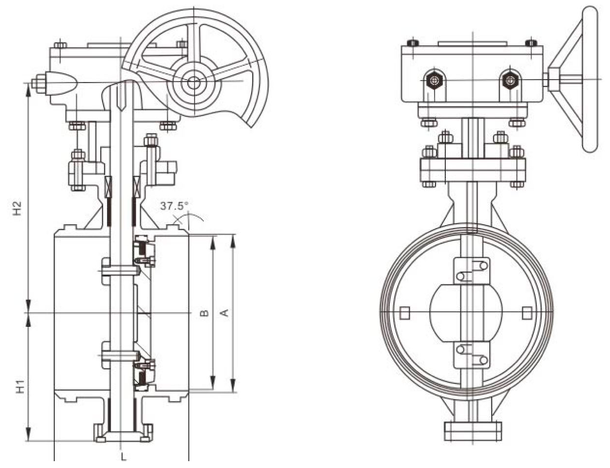 drawing of Welded Butterfly Valve