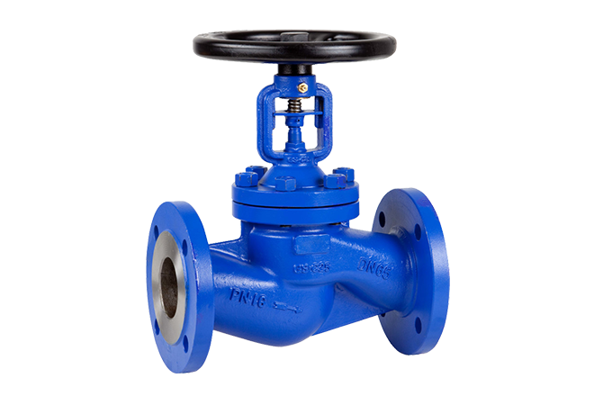 Globe Valve