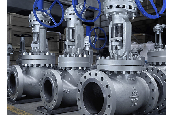 Globe Valve