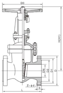 Hard Seal Gate Valve structure