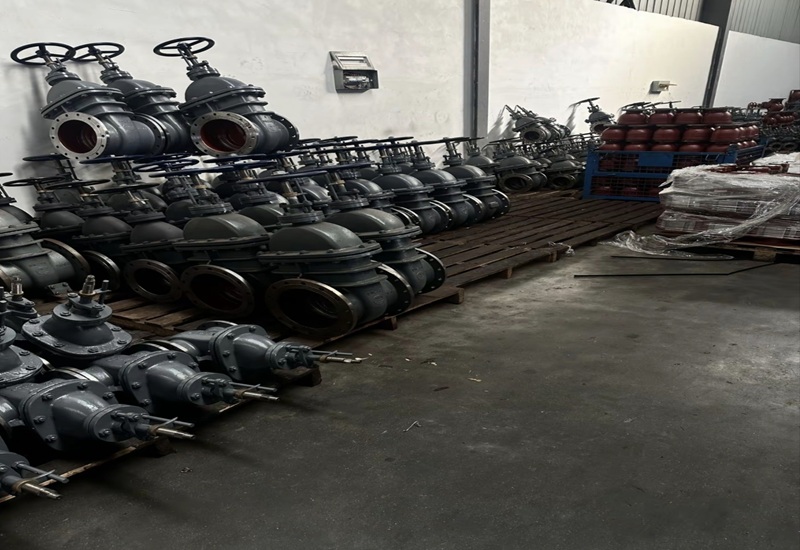 Marine flanged gate valves